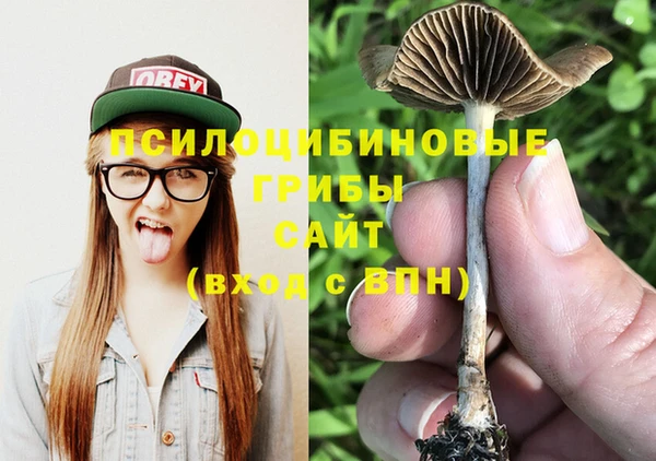 ECSTASY Богородск