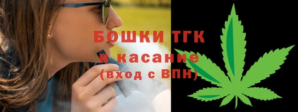 соль ск Богородицк