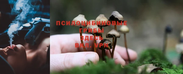 спиды Белоозёрский