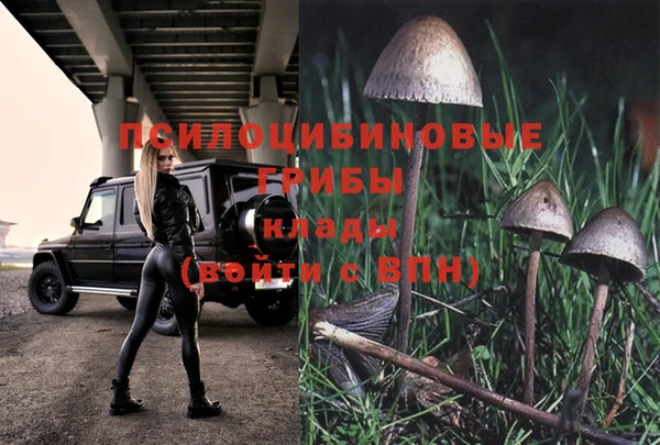 амф Белокуриха