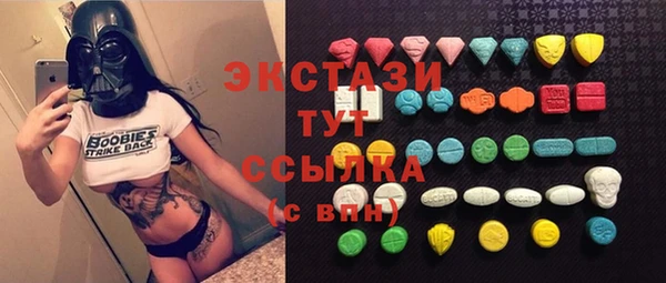 ECSTASY Богородск