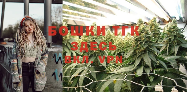 амф Белокуриха